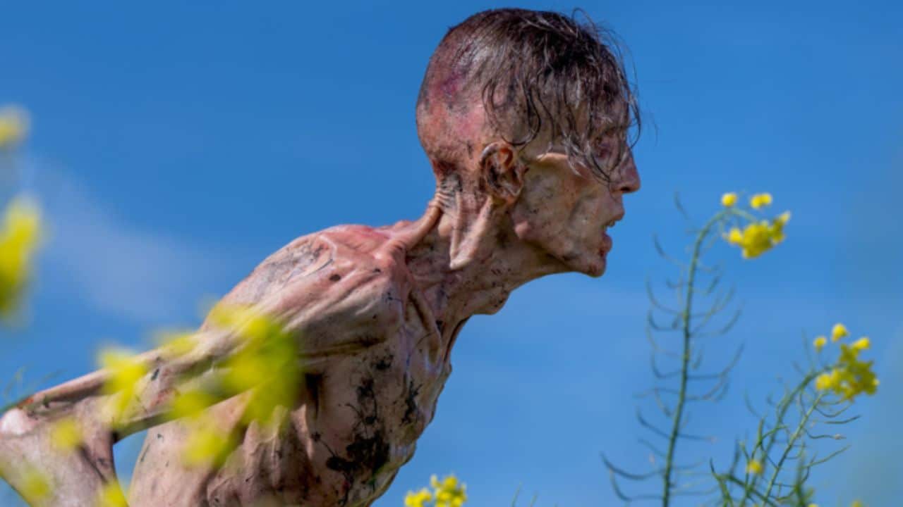 HBO Max